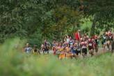 JV race at about 1300m