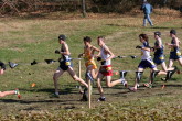 Matt McCarroll at 800m