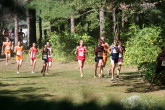 Ted, Burk and Applegate about 1000m from finish