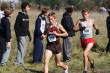 Sectionals