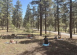 Flagstaff