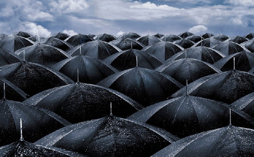 Rain umbrellas