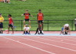 Sectionals