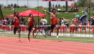 Sectionals